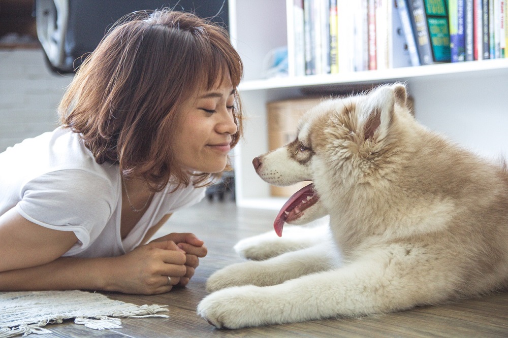 Security tips living alone , Woman and Dog