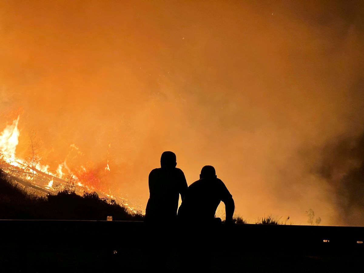 Wildfire Safety for Texans