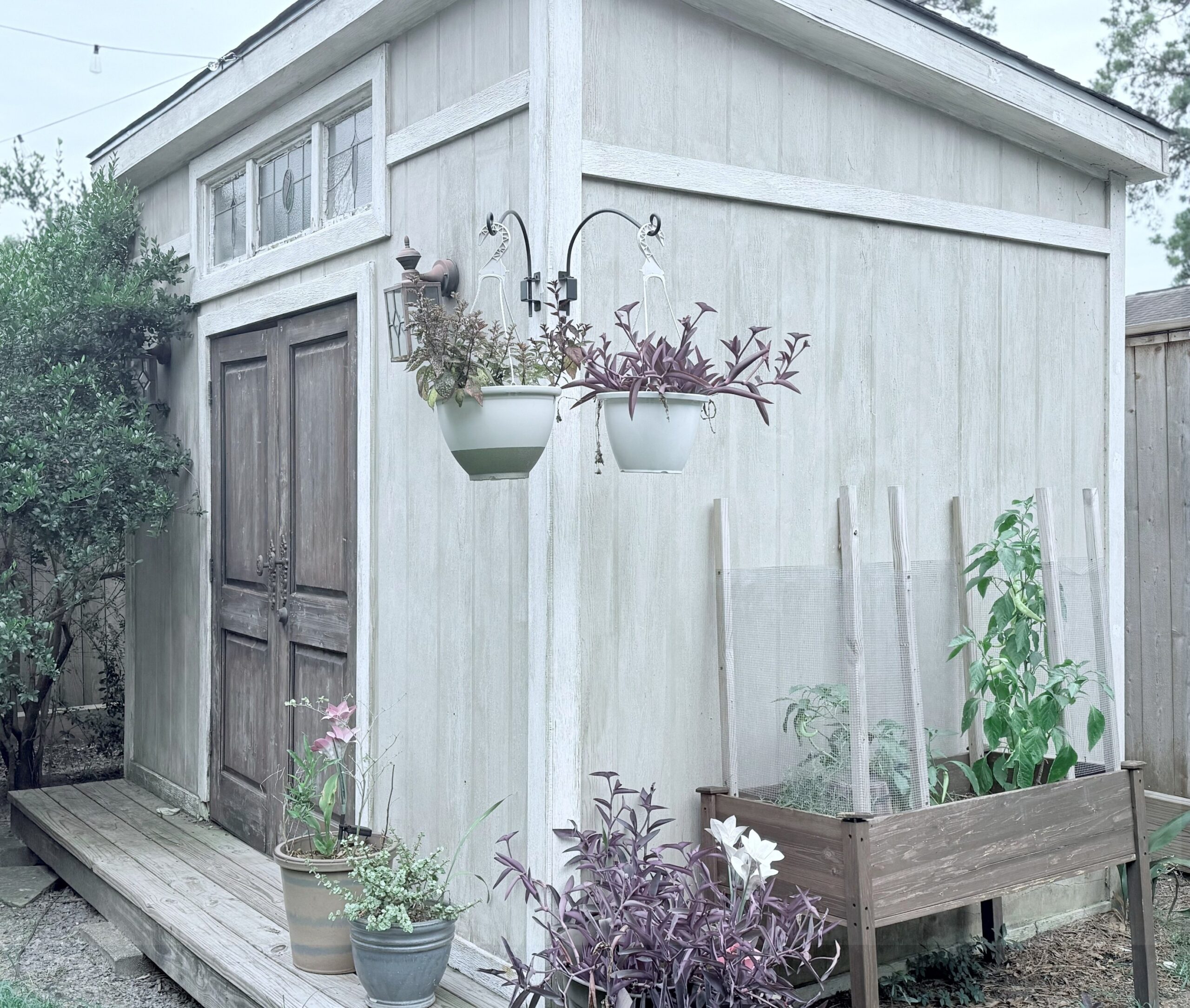 A backyard shed