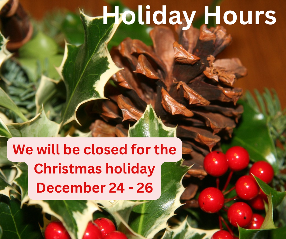 A pine cone and holly berries with holiday huors notice