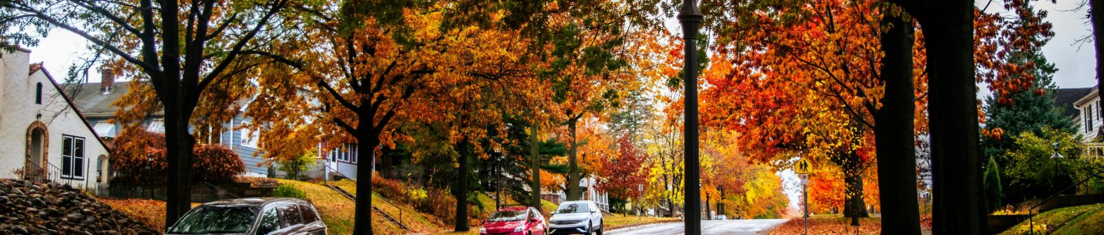 A suburban residential neighborhood