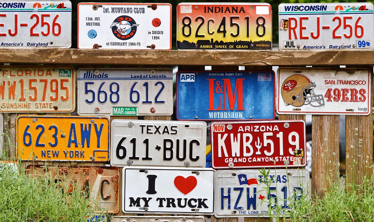 Flock cameras capture license plates
