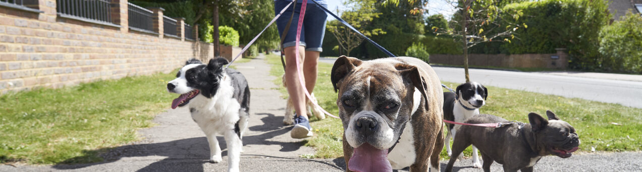 A secure way to let service workers like a dog walker in your home