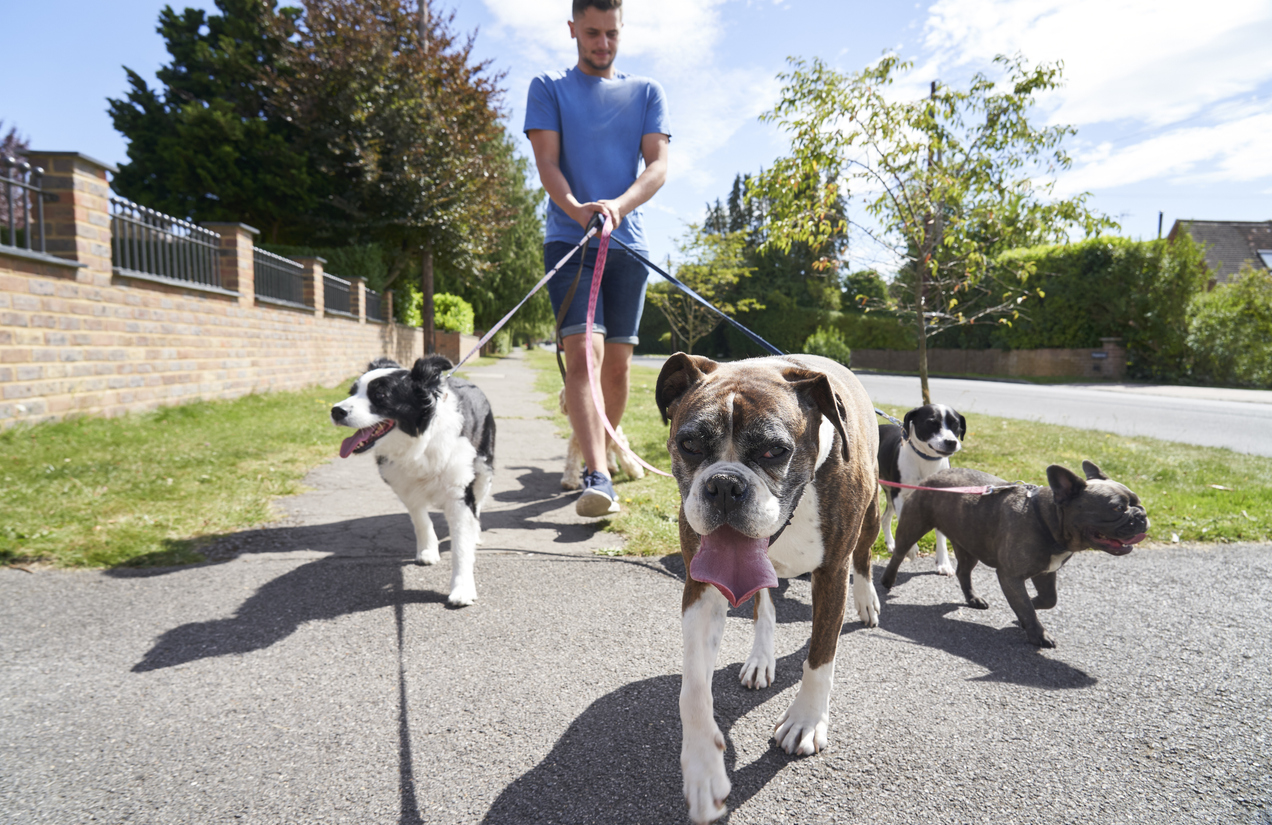 A secure way to let service workers like a dog walker in your home